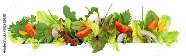 Obraz Mixed Salad with Vegetables - Lettuce Panorama on Transparent PNG Background