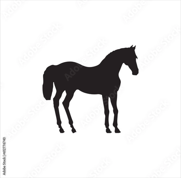 Obraz A standing horse silhoeutte vector art.