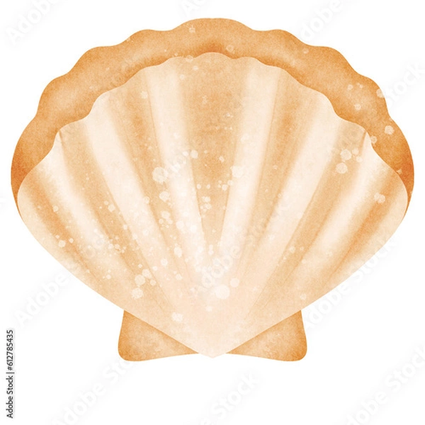 Fototapeta Sea shell