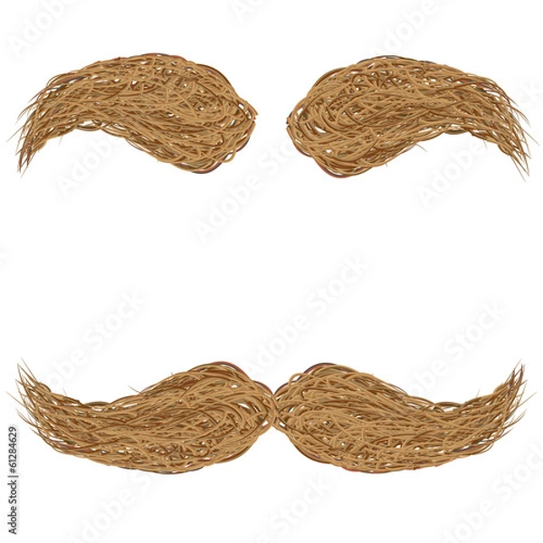 Fototapeta mustache and eyebrows, brown