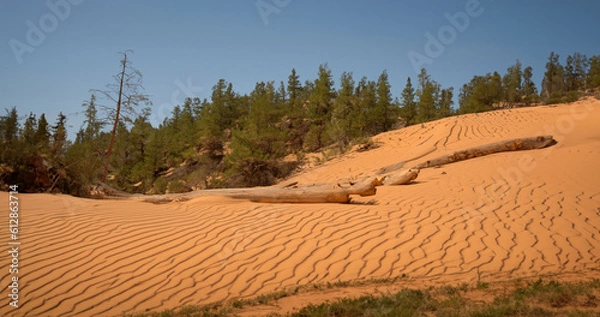Fototapeta Desert sand - logs, grass and sky. Generative AI illustration