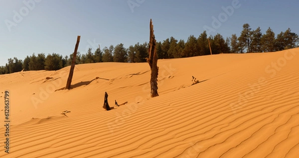 Fototapeta Desert sand - logs, grass and sky. Generative AI illustration