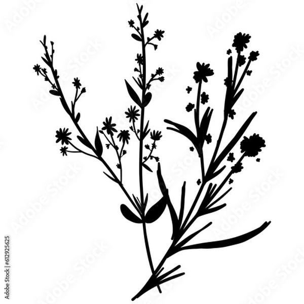 Fototapeta Silhouette botanic blossom floral element. Branch with leaves and flowers. Black hand drawing wildflower bouquet. Vector illustration herbs isolated on white background