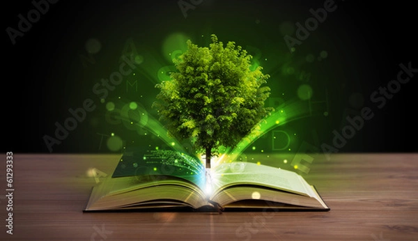 Fototapeta Open book with magical green tree and rays of light