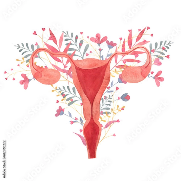 Fototapeta uterus painted in watercolor on a background of flowers, female reproductive organ, fallopian tubes, ovaries, cervical canal, isolated hand drawn illustration