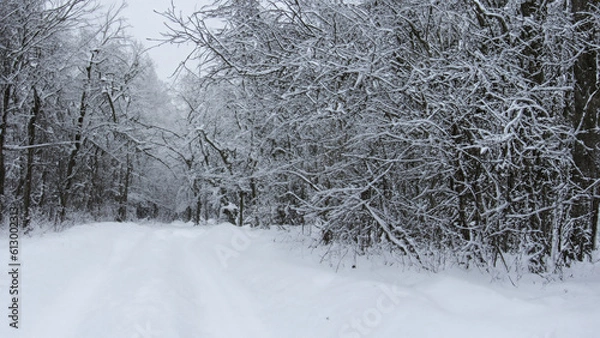 Fototapeta Winter - generative ai