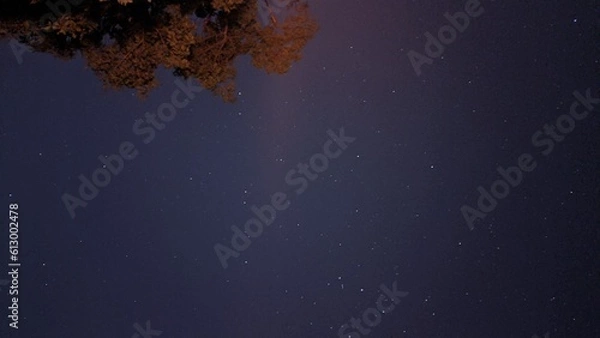 Obraz starry night sky