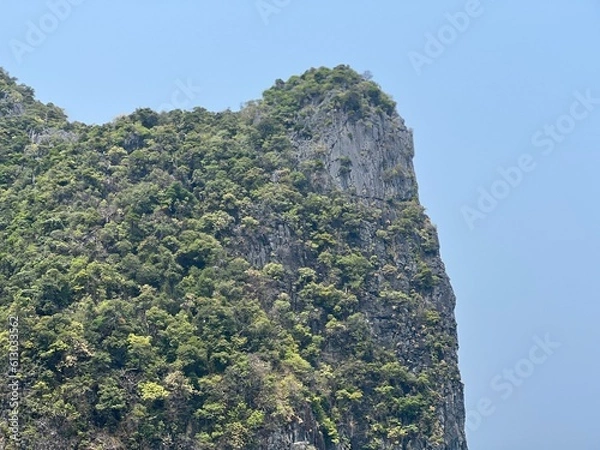 Obraz tree on the rock