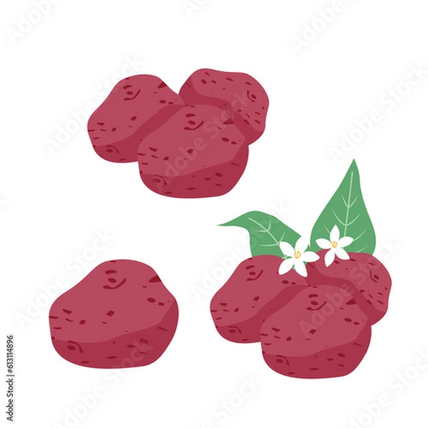 Fototapeta red Potato Illustration Vector Set