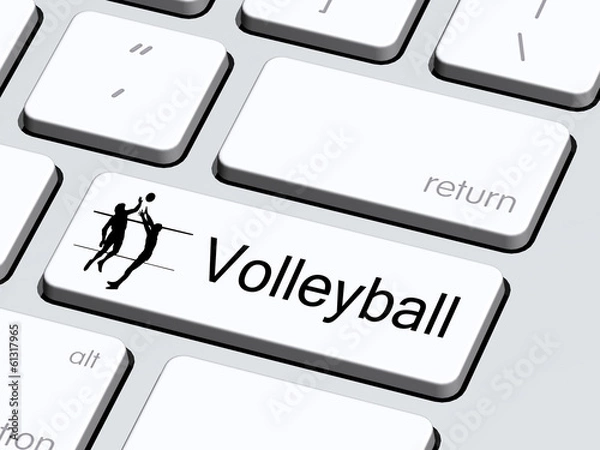 Obraz Volleyball5