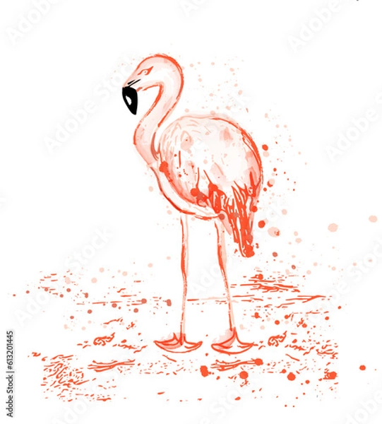 Fototapeta Flamingo watercolor vector tropic bird with splash color