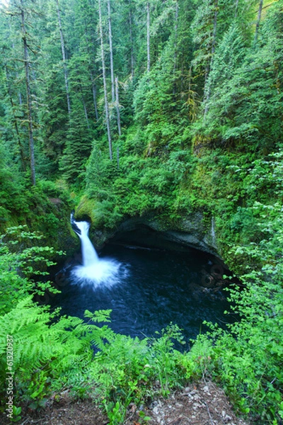 Obraz Punch bowl falls