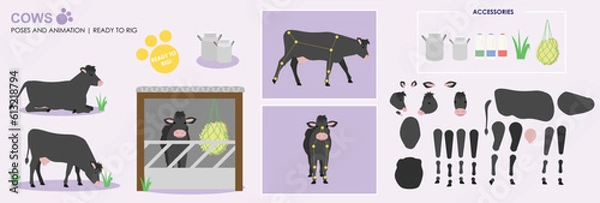 Obraz Black cow ready to animate with multiple poses accessories. Vector file labeled ready to rig. milking cow, cow walking, standing, front, side views sitting, farm animals for animation