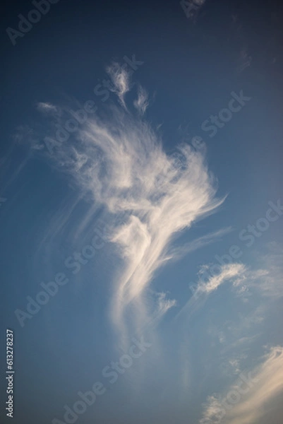 Fototapeta blue sky with clouds