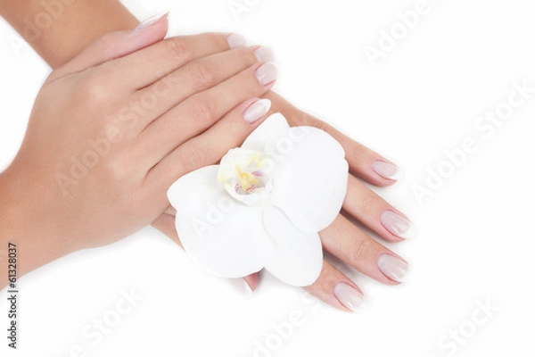 Obraz Beautiful woman's hands