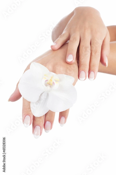 Obraz Beautiful woman's hands