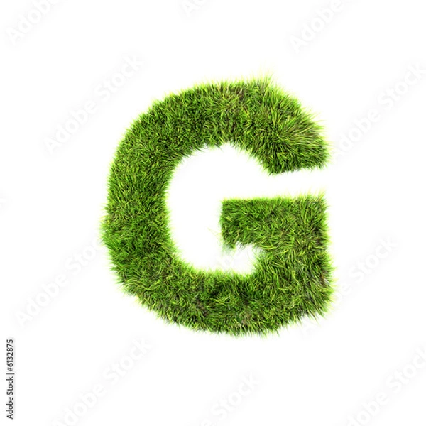 Fototapeta Grass letter