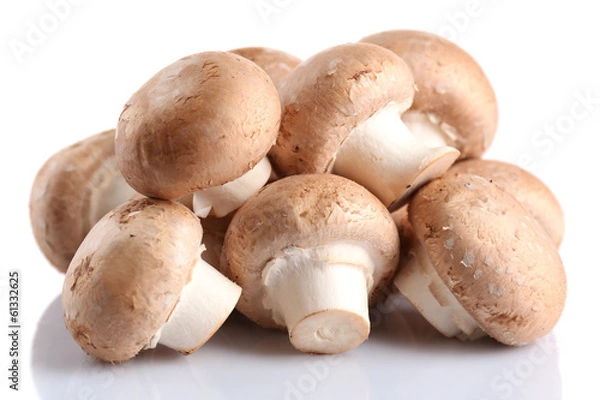 Obraz Fresh mushrooms isolated on white