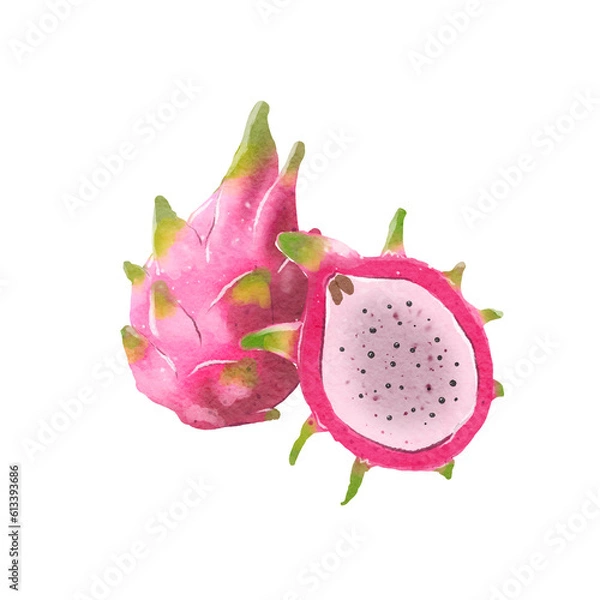 Obraz Dragon fruit