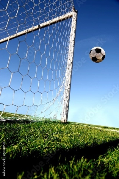 Obraz piłka nożna 169