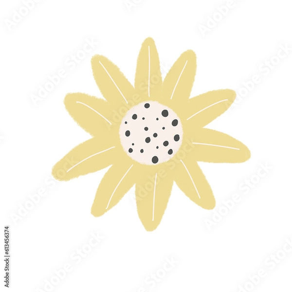 Obraz ดอกไม้