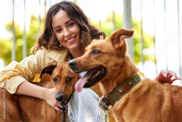 Fototapeta Charming young smiling girl on a walk with two golden dogs on a sunny day. The girl hugs pets. Love and affection between owner and pet. Adopting a pet from a shelter. Selective focus, close-up.