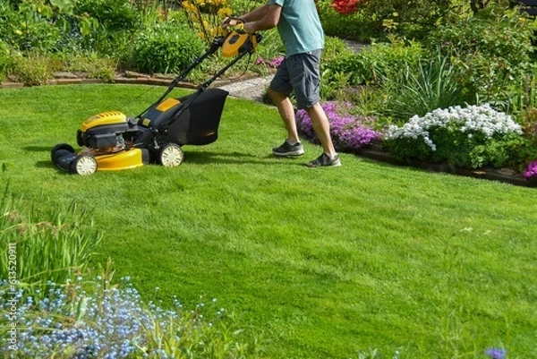 Obraz Rasenpflege, Rasenmähen im schönen Garten