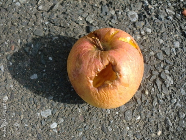 Obraz 道路に打ち捨てられたリンゴ