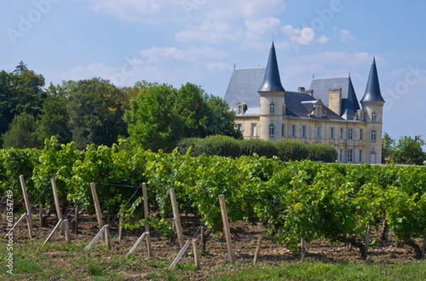 Obraz Bordeaux chateaux