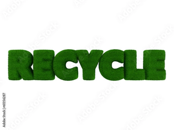 Obraz Grass Recycle word isolated on white background