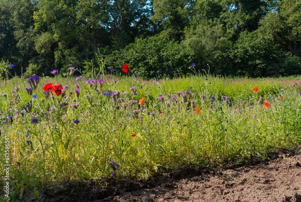 Obraz Botanic Gardens