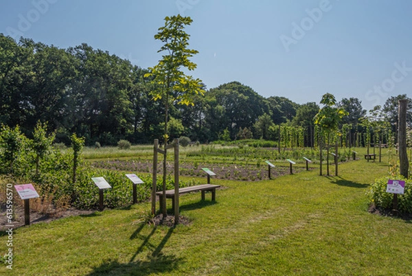 Obraz Botanic Gardens