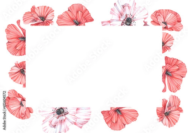 Fototapeta Horizontal postcard with watercolor illustrations of red poppies. Handmade work. Isolated.