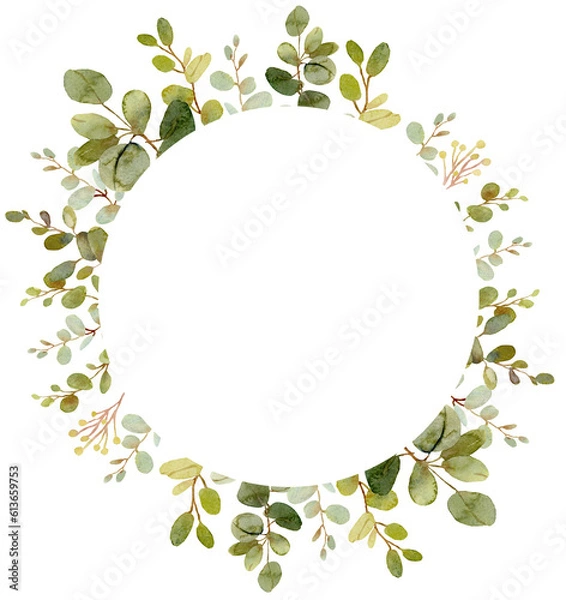 Fototapeta Rustic green Eucalyptus foliage design compositions