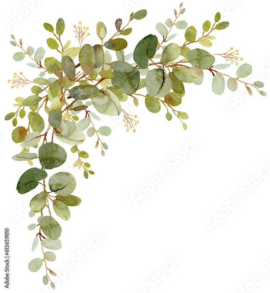 Fototapeta Rustic green Eucalyptus foliage design compositions