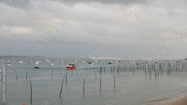 Fototapeta dune du pilat