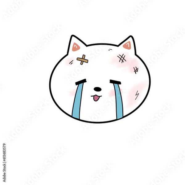 Obraz Face cat character 