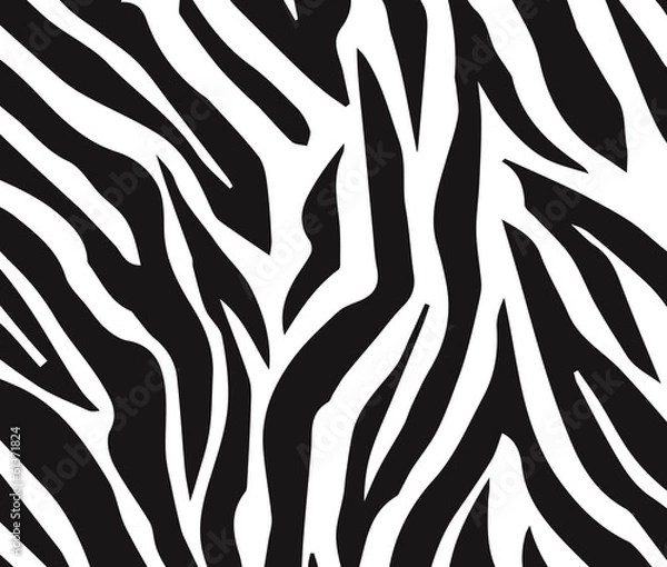 Fototapeta Zebra 1102