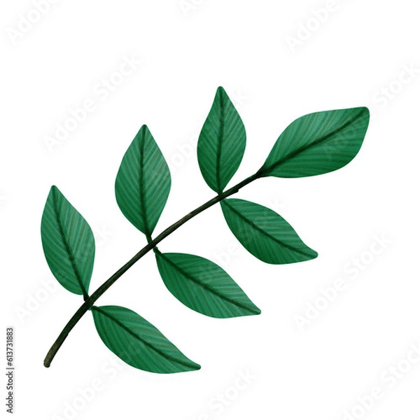Obraz Leaf