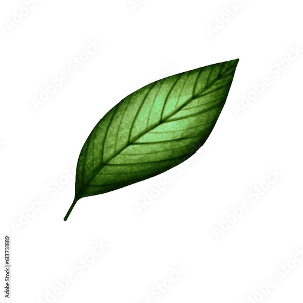 Obraz Leaf
