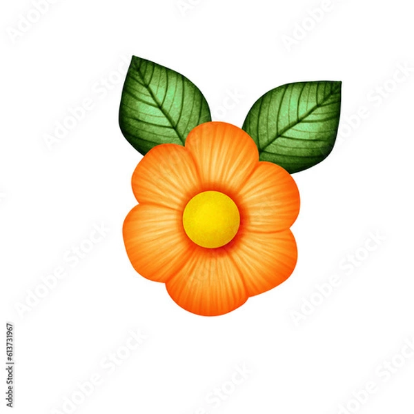 Obraz flower, orange