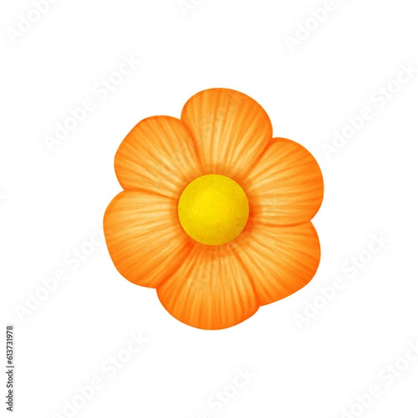 Obraz flower orange
