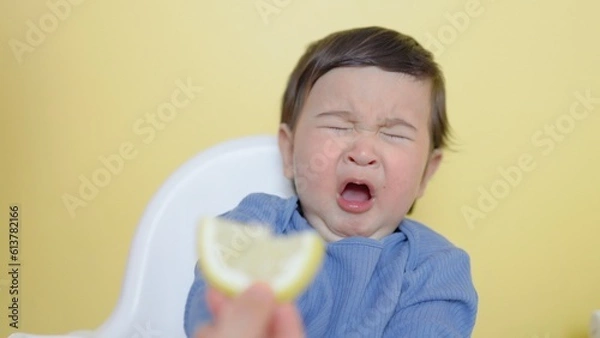 Obraz A child tastes a piece of lemon, wrinkles and makes a grimace 