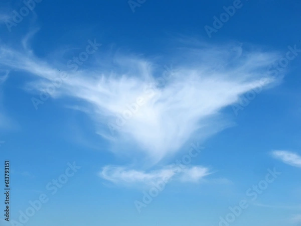 Obraz Wings shape cloud