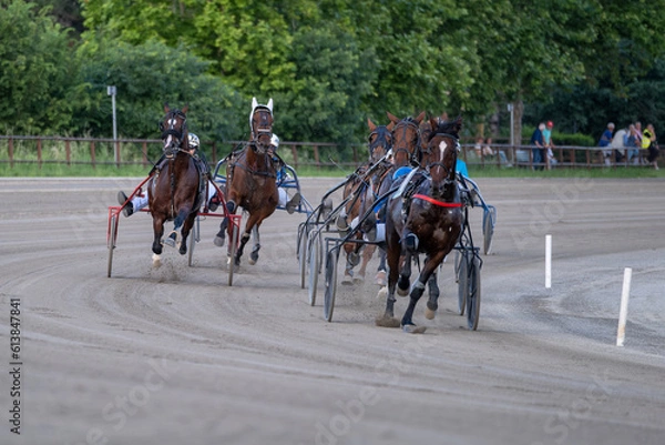 Obraz Racing horses trots and rider on a track of stadium. Competitions for trotting horse racing. Horses compete in harness racing. Horse runing at the track with rider.
