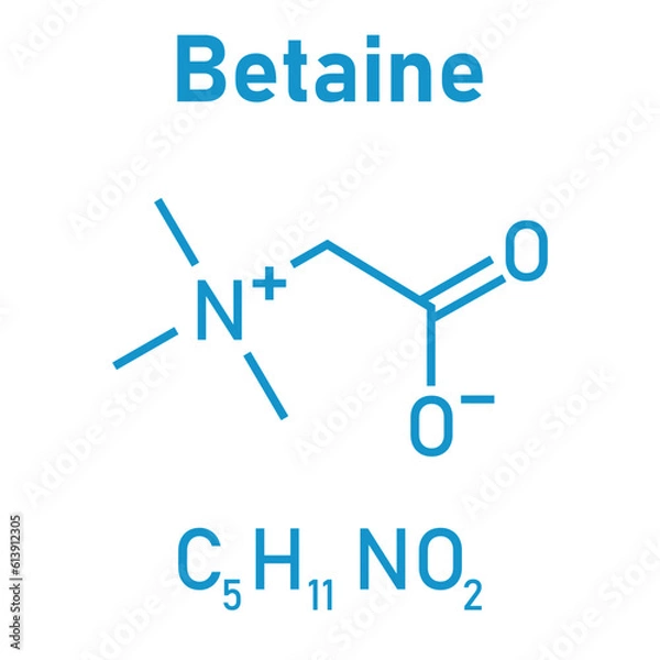 Fototapeta Chemical structure of Betaine (C5H11NO2). Chemical resources for teachers and students. Vector illustration.