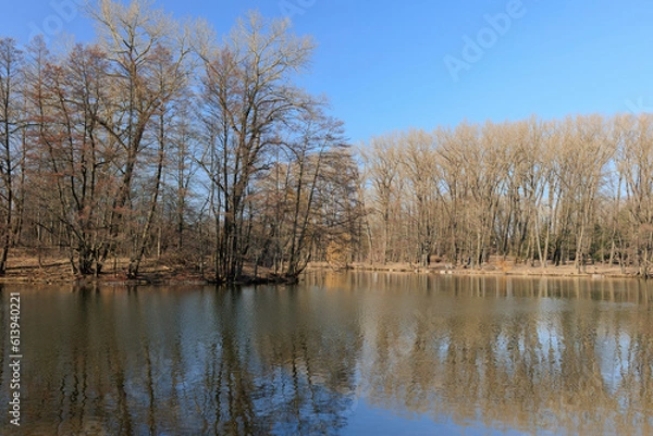 Fototapeta Landscape, view of the lake, river and the shore. Background for design