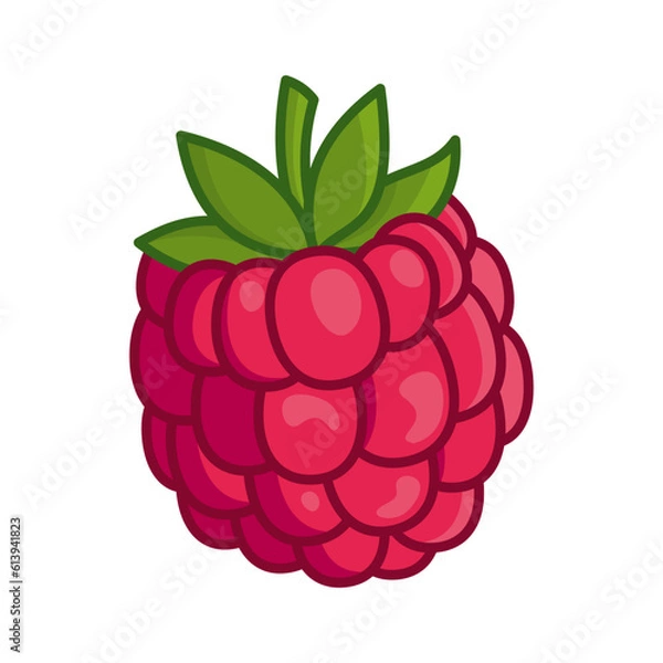 Fototapeta Juicy raspberry isolated on a white background. Vector illustration of berries for design