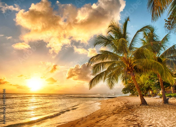 Obraz Barbados