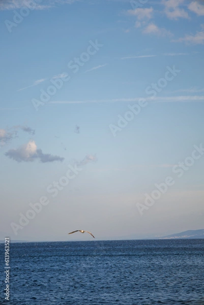 Fototapeta A beautiful view of the sea coast, the mountains are an ideal place for summer vacation. Adriatic Sea.